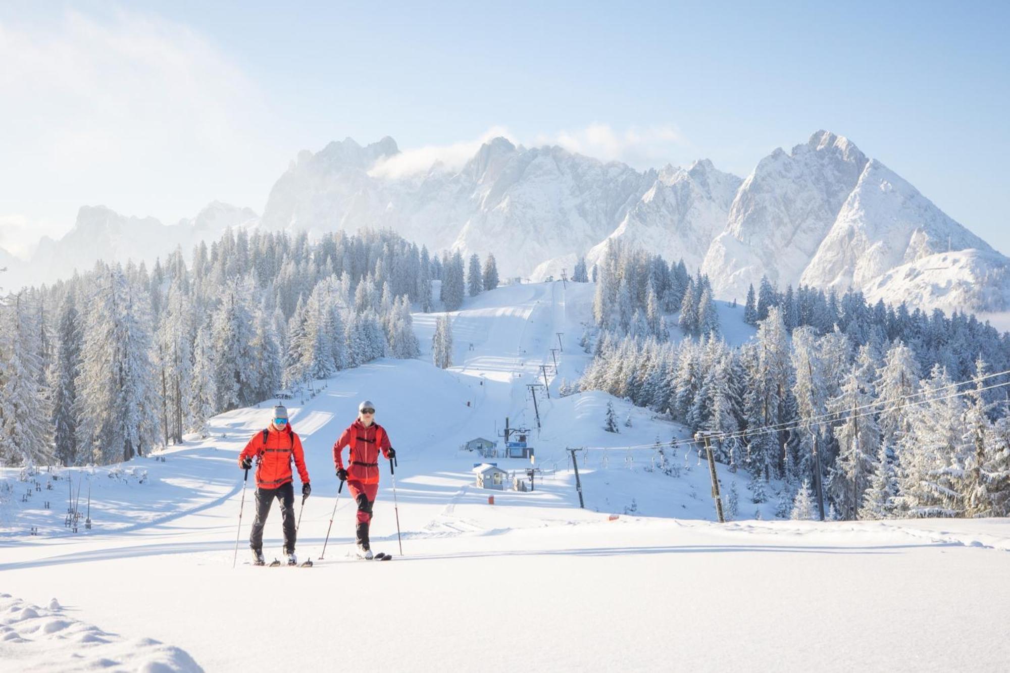 Dachstein Chalet Russbach am Pass Gschuett Exterior photo